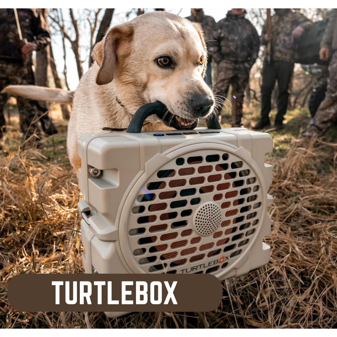 Turtle Boxes